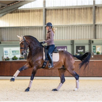 Tapis LeMieux dressage square - luxury Bleu benetton