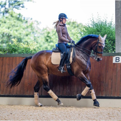 Tapis LeMieux Suede Dressage Square Mink Marron
