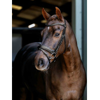 Bridon de dressage Arika LeMieux