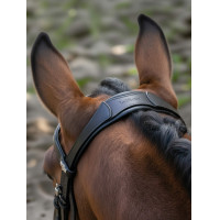 Bridon de dressage Arika LeMieux