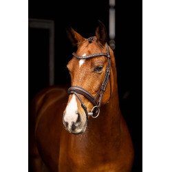 Arika Dressage Bridle LeMieux Bruin / zilver Arika Dressage Bridle LeMieux Bruin / zilver