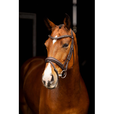 Arika Dressage Bridle LeMieux Bruin / zilver Arika Dressage Bridle LeMieux Bruin / zilver