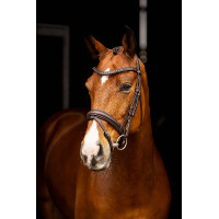 Bridon de dressage Arika LeMieux Marron / argent