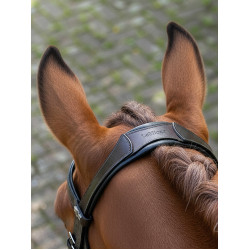 Arika Dressage Bridle LeMieux Bruin / zilver Arika Dressage Bridle LeMieux Bruin / zilver