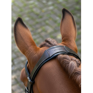 Arika Dressage Bridle LeMieux Bruin / zilver Arika Dressage Bridle LeMieux Bruin / zilver