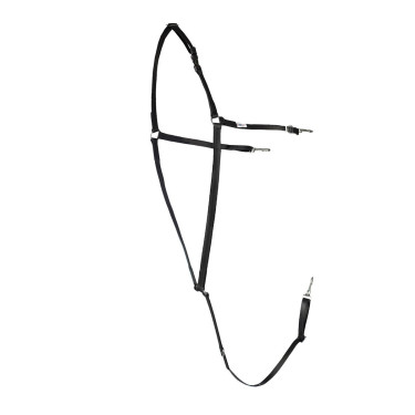 BRICOLE AMERICAINE BETA