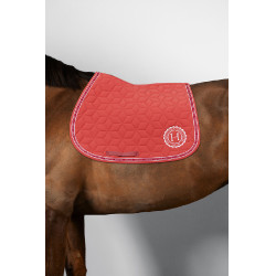 Zadelpad voor paard Harcour Blake – Equi-Clic