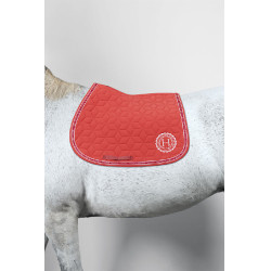 Zadelpad voor paard Harcour Blake – Equi-Clic