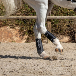 Guêtres LeMieux Carbon Air XC Noir Guêtres LeMieux Carbon Air XC Noir