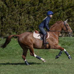 Guêtres LeMieux Carbon Air XC Noir Guêtres LeMieux Carbon Air XC Noir