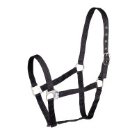 Shires Wessex halster Zwart