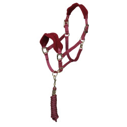 Licol et longe polaire Shires Arma Bordeaux Licol et longe polaire Shires Arma Bordeaux