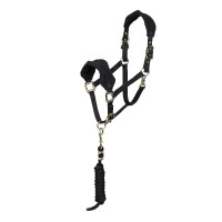 Licol et longe polaire Shires Arma Noir