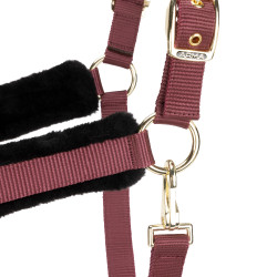 Licol et longe logo Shires Arma Bordeaux