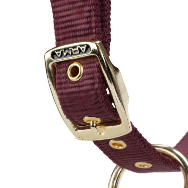 Licol et longe logo Shires Arma Bordeaux