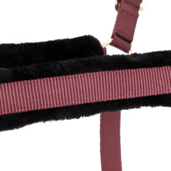 Licol et longe logo Shires Arma Bordeaux