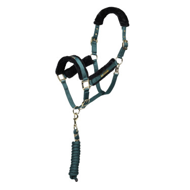 Licol et longe logo Shires Arma Vert