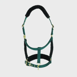 Licol et longe logo Shires Arma Vert