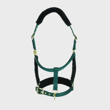 Licol et longe logo Shires Arma Vert