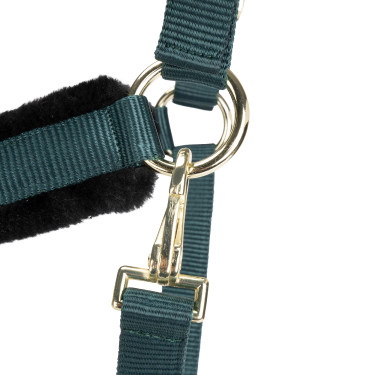 Licol et longe logo Shires Arma Vert