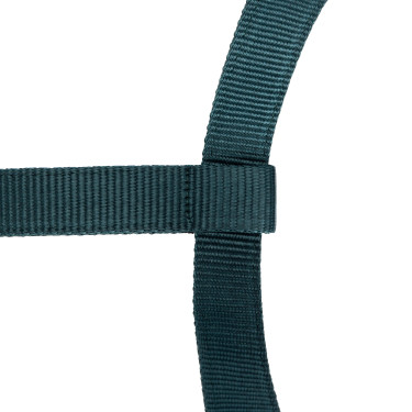 Licol et longe logo Shires Arma Vert