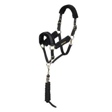 Licol et longe d’équitation Shires ARMA – cheval