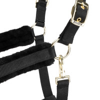 Licol et longe logo Shires Arma Noir