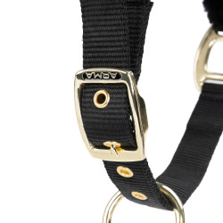 Licol et longe d’équitation Shires ARMA – cheval