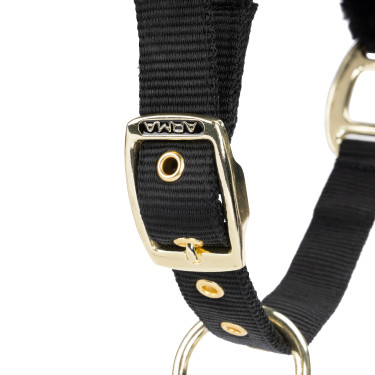Licol et longe d’équitation Shires ARMA – cheval