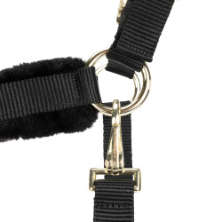 Licol et longe d’équitation Shires ARMA – cheval
