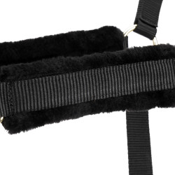 Halster en lijn voor paard – Shires ARMA – Equi-Clic