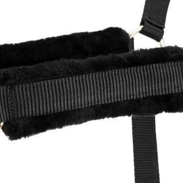 Licol et longe d’équitation Shires ARMA – cheval