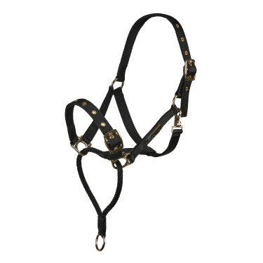 Controlehalster voor paarden Shires ARMA – training