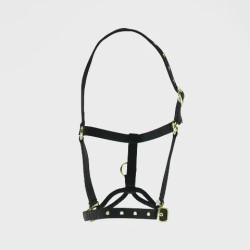 Controlehalster voor paarden Shires ARMA – training