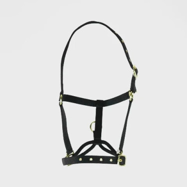 Controlehalster voor paarden Shires ARMA – training
