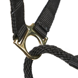 Controlehalster voor paarden Shires ARMA – training