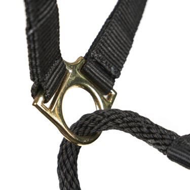 Controlehalster voor paarden Shires ARMA – training