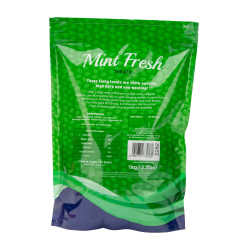 Friandises menthe pour chevaux Shires | Équitation Friandises menthe pour chevaux Shires | Équitation