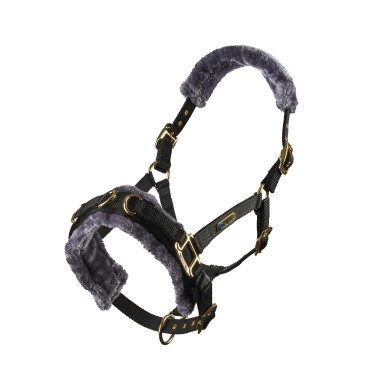 Caveçon d’équitation Shires doublé polaire ARMA