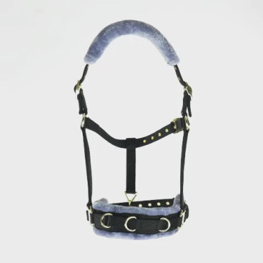 Caveçon d’équitation Shires doublé polaire ARMA