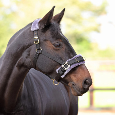 Caveçon d’équitation Shires doublé polaire ARMA