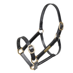 Leren halster paard verstelbaar Shires Velociti Gara | Equi-Clic