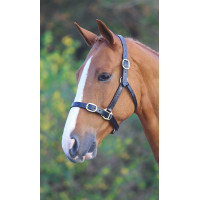 Licol en cuir entièrement réglable Shires Velociti Gara Noir