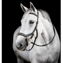 Bridon Horseware Micklem® Multi Bridon Horseware Micklem® Multi