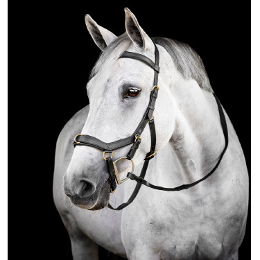 Bridon Horseware Micklem® Multi Bridon Horseware Micklem® Multi