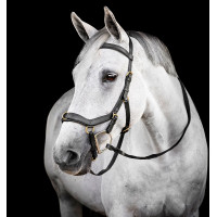 Hoofdstel Horseware Micklem® Multi