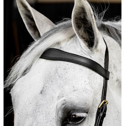 Bridon Horseware Micklem® Multi Bridon Horseware Micklem® Multi