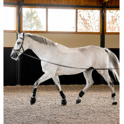 Bridon Horseware Micklem® Multi Bridon Horseware Micklem® Multi