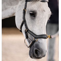 Bridon Horseware Micklem® Multi Bridon Horseware Micklem® Multi