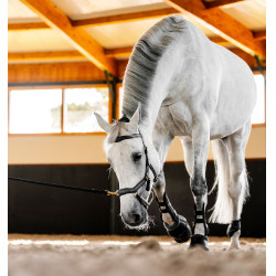 Bridon Horseware Micklem® Multi Bridon Horseware Micklem® Multi